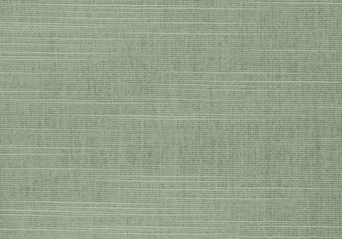 LP6065 Hayworth fern