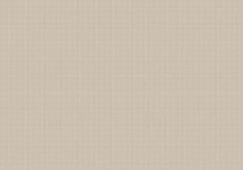 LP6118 Alara Biscuit